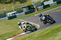 cadwell-no-limits-trackday;cadwell-park;cadwell-park-photographs;cadwell-trackday-photographs;enduro-digital-images;event-digital-images;eventdigitalimages;no-limits-trackdays;peter-wileman-photography;racing-digital-images;trackday-digital-images;trackday-photos